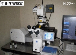 共焦点顕微鏡装置 LSM700(Zeiss)