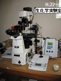 倒立蛍光顕微鏡（Nikon） +マイクロインジェクター （eppendorf）