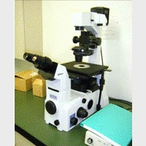 蛍光顕微鏡