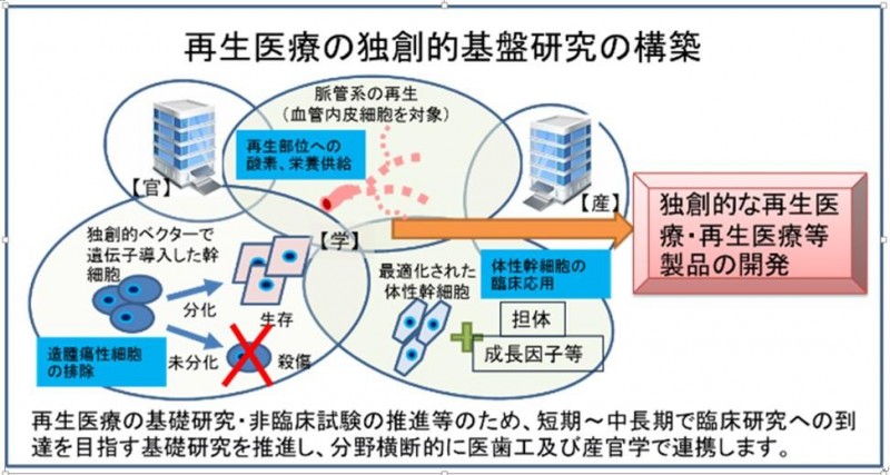 3.再生医療の独創的基盤研究