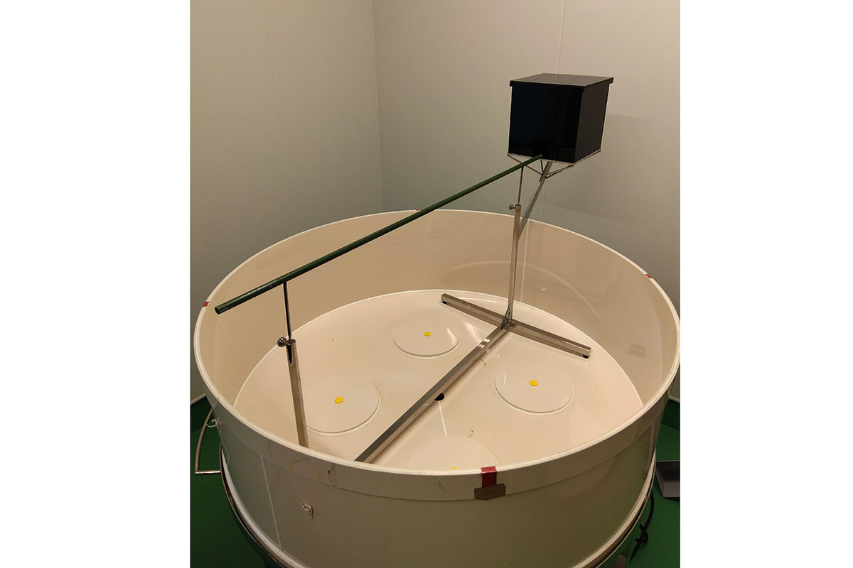 Beam Test